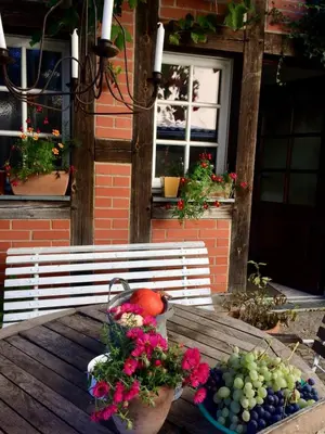Ein Garten an der Unterkunft Romantische Ferienwohnung im historischen Stadtkern Jüterbog