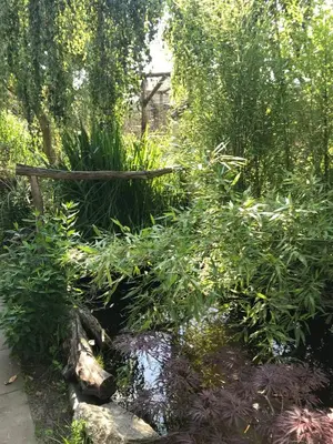 Ein Garten an der Unterkunft Wohnen im Eulengarten