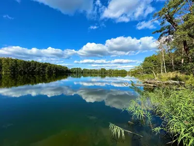 Naturlandschaft in der Nähe der Ferienwohnung