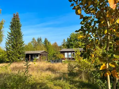 Ein Garten an der Unterkunft Haus 8 am Grimnitzsee mit Sauna
