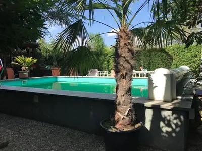 Der Swimmingpool an oder in der Nähe von Unser Studio-Apartment 