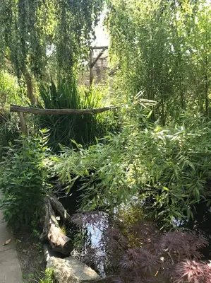 Ein Garten an der Unterkunft Unser Studio-Apartment 