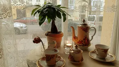 Kaffee-/Teezubehör in der Unterkunft Huge-Elegant-Art 5 Beds Flat in Schöneberg