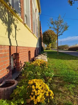 Ein Garten an der Unterkunft Ferienwohnung 