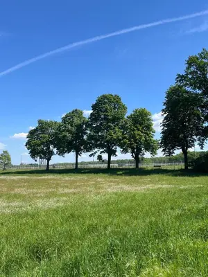 Naturlandschaft in der Nähe des Ferienhauses