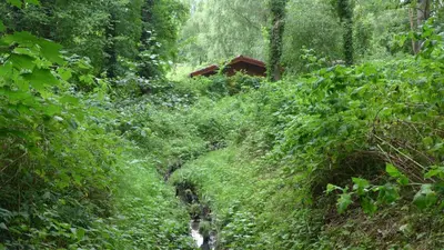 Naturlandschaft in der Nähe des Ferienhauses