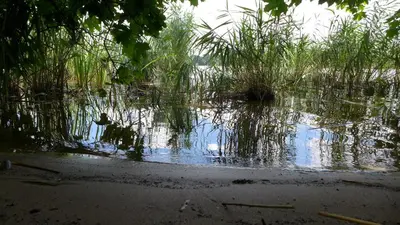 Naturlandschaft in der Nähe des Ferienhauses
