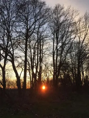 Blick auf den Sonnenuntergang/Sonnenaufgang von der Ferienwohnung aus oder aus der Nähe