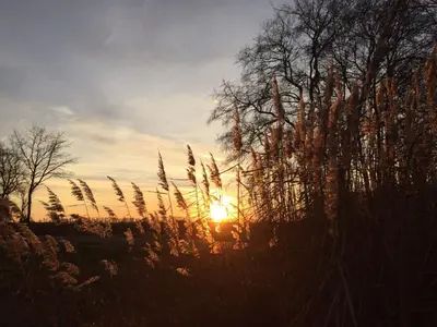 Blick auf den Sonnenuntergang/Sonnenaufgang von der Ferienwohnung aus oder aus der Nähe
