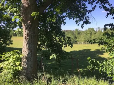 Naturlandschaft in der Nähe der Ferienwohnung