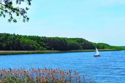 Naturlandschaft in der Nähe der Ferienwohnung