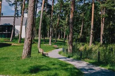 Ein Garten an der Unterkunft TheChipp - Designapartment mit Seeblick, Pool, Sauna & Kamin