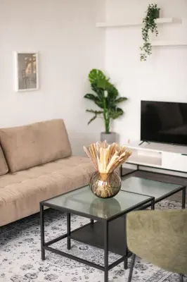 TV/Unterhaltungsangebot in der Unterkunft Homely Berlin - Spacious, Modern, S-Bahn Nearby , Groups & Families