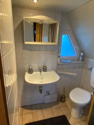 Ein Badezimmer in der Unterkunft Finnhütte Oase