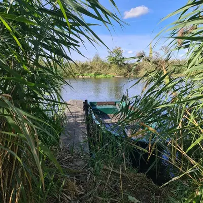Blick auf einen Fluss in der Nähe der Ferienwohnung