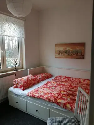 Ein Bett oder Betten in einem Zimmer der Unterkunft Ferienwohnung Puttenusenhof