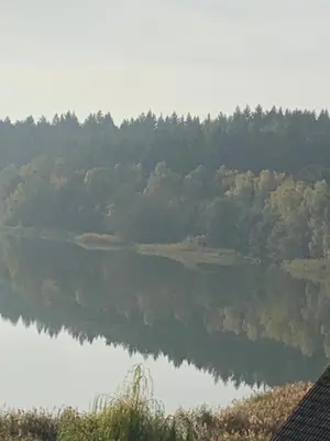 Naturlandschaft in der Nähe des Hotels
