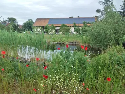 Ein Garten an der Unterkunft Hof Schwericke