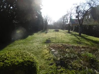 Ein Garten an der Unterkunft Ferienbungalow Am Birkenwäldchen