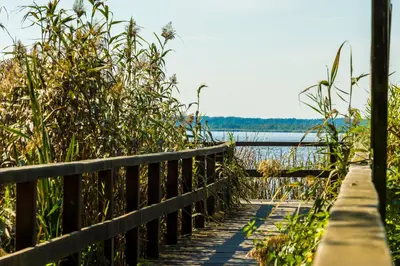 Naturlandschaft in der Nähe der Villa