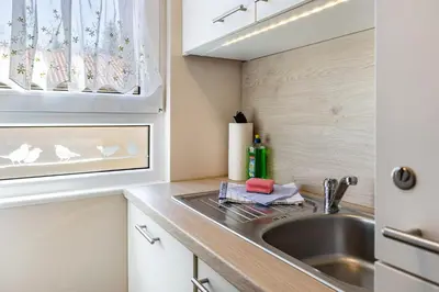 Küche/Küchenzeile in der Unterkunft Ferienhaus Zauneidechse