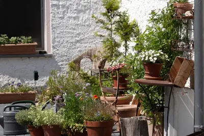 Ein Garten an der Unterkunft Landhaus Wolziger See