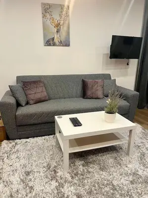 TV/Unterhaltungsangebot in der Unterkunft 3 Personen Apartment im Zentrum