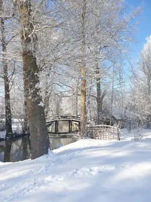 Spreeidyll im Winter
