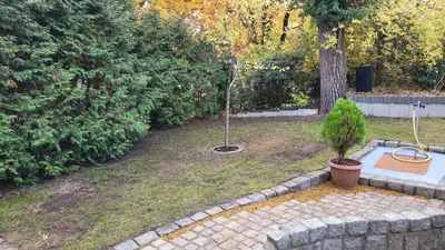 Ein Garten an der Unterkunft Villa Rogge