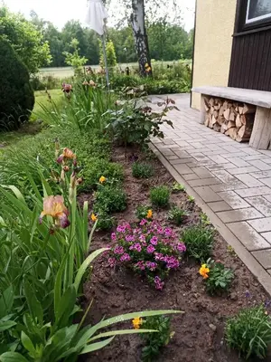 Ein Garten an der Unterkunft Flämingpanorama - Ländliches Gartenhaus mit Kamin und Naturpanorama