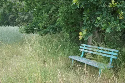 Naturlandschaft in der Nähe des Ferienhauses