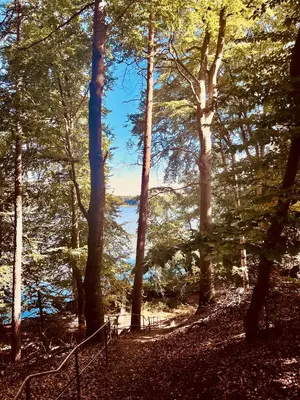 Naturlandschaft in der Nähe des Ferienhauses