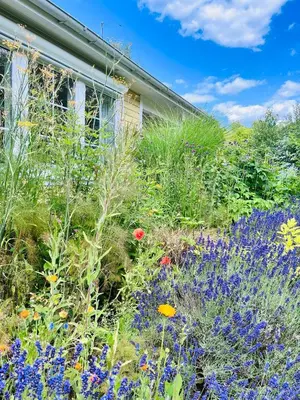 Ein Garten an der Unterkunft Landhaus Himmelpfort