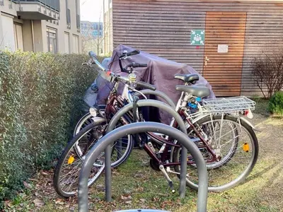 Radfahren an der Unterkunft Nice apartment in Potsdam oder in der Nähe