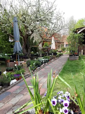 Ein Garten an der Unterkunft Kräuter-Heidi Garten