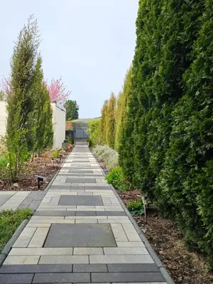 Ein Garten an der Unterkunft BERlin - Oase