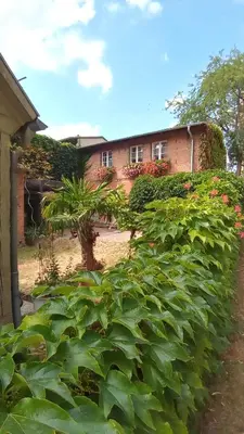 Ein Garten an der Unterkunft Ferienhaus in der historischen Altstadt von Angermünde