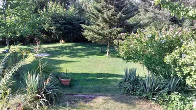 Ein Garten an der Unterkunft Chill Haus mit Sauna und Kamin