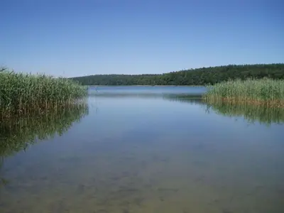 Naturlandschaft in der Nähe des Ferienhauses