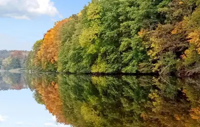 Naturlandschaft in der Nähe der Ferienwohnung