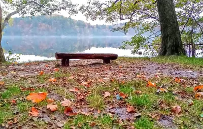 Naturlandschaft in der Nähe der Ferienwohnung