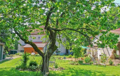 Ein Garten an der Unterkunft Ferienwohnung Rheinsberg