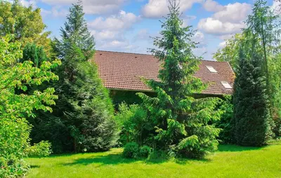 Ein Garten an der Unterkunft Ferienwohnung Rheinsberg