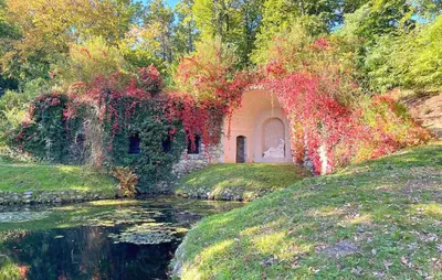 Ein Garten an der Unterkunft Ferienwohnung Rheinsberg