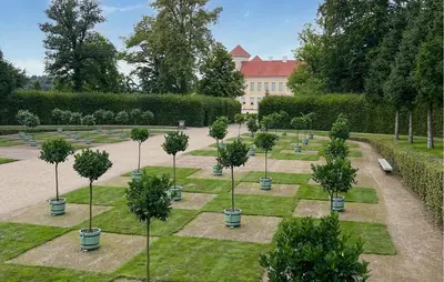Ein Garten an der Unterkunft Ferienwohnung Rheinsberg