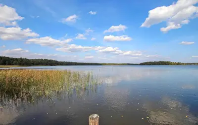 Naturlandschaft in der Nähe des Ferienhauses
