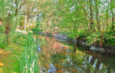 Naturlandschaft in der Nähe des Ferienhauses