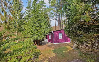 Ein Garten an der Unterkunft Fh Brombeere