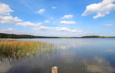 Naturlandschaft in der Nähe des Ferienhauses