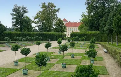 Ein Garten an der Unterkunft Ferienwohnung Rheinsberg